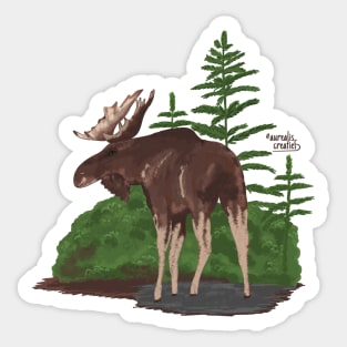 Moose in forest Sticker